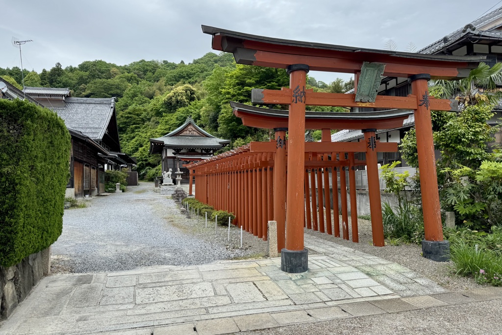 20240506彦根市28