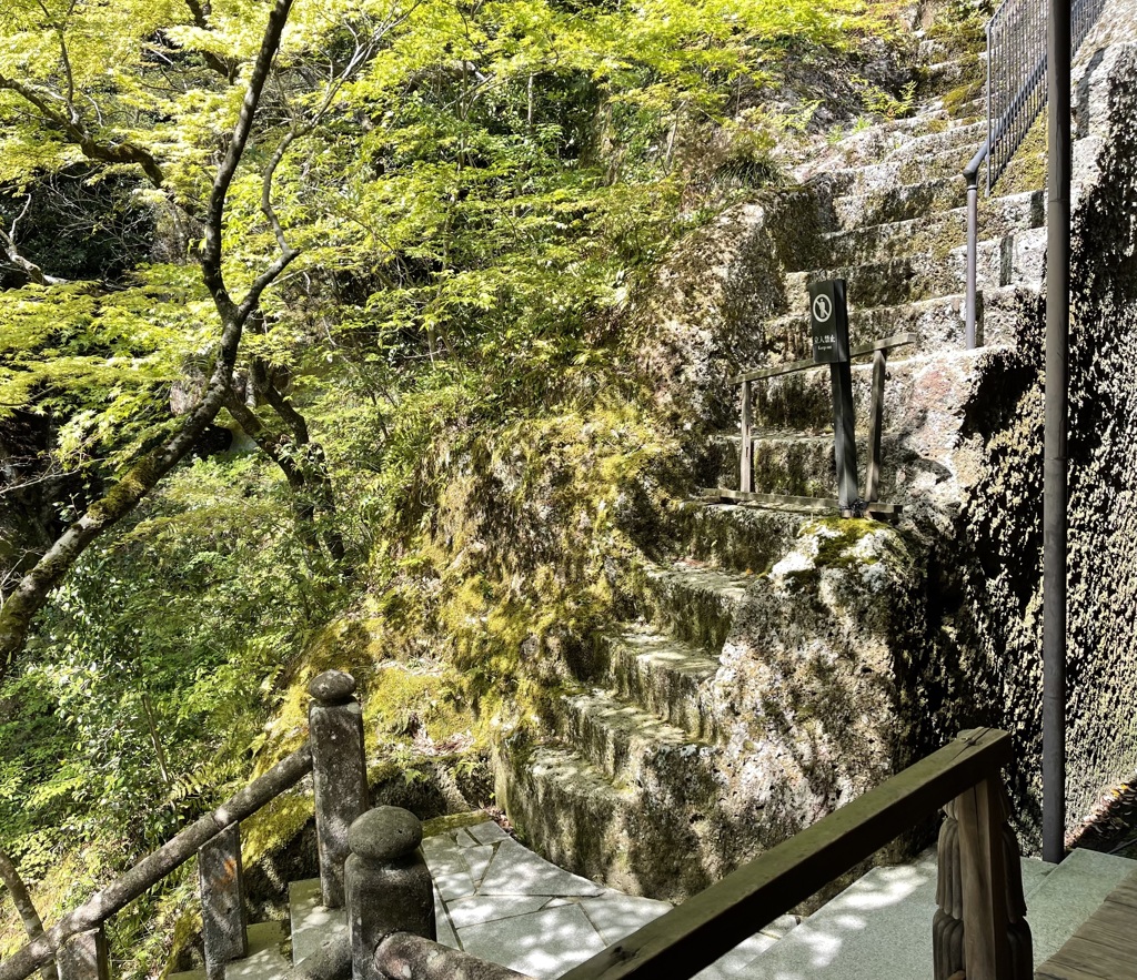 20210419小松市10