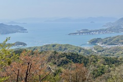 20250416江田島市19