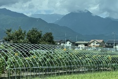 20190824安曇野市17