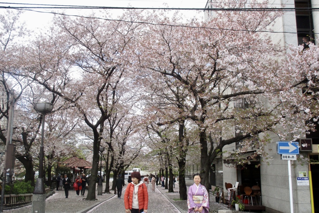 20190411東山区05