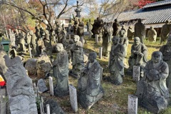 20241129右京区11