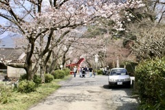 20070328朝倉市30