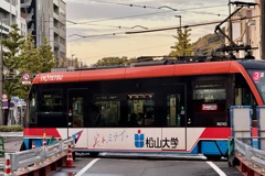 20241202松山市50