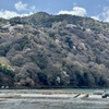 20250404右京区01