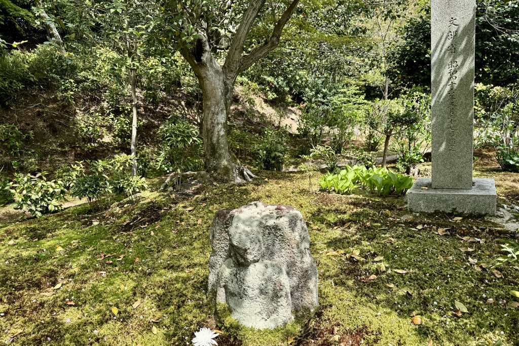 20240415右京区05