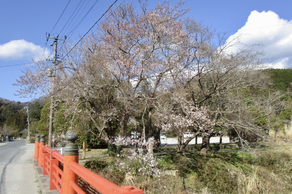 20190403いわき市01