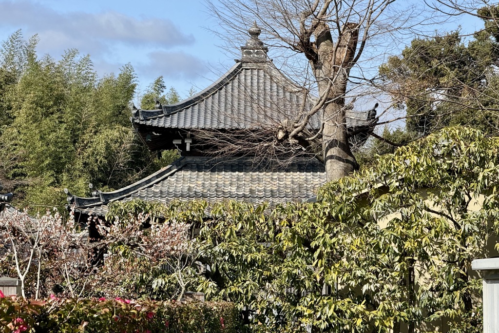 20240228右京区01