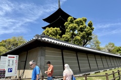 20240412京都市南区03