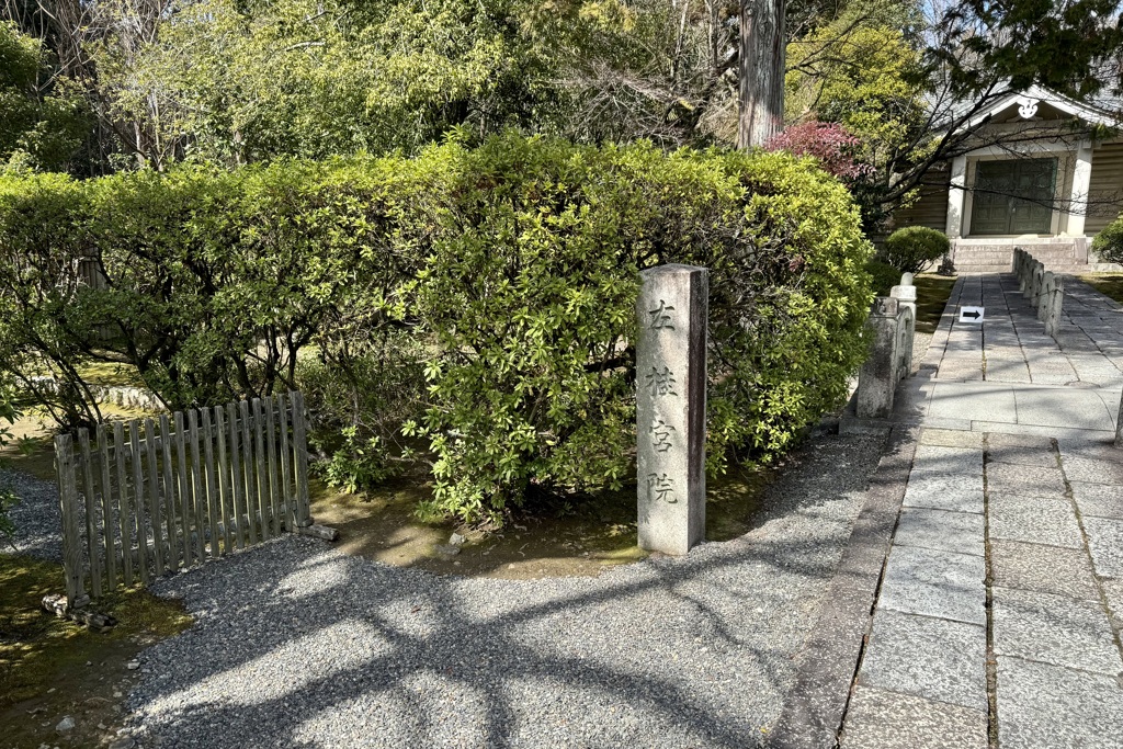 20240307右京区33
