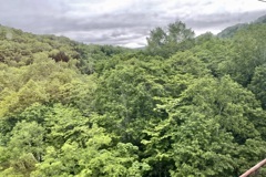 20230613占冠村01
