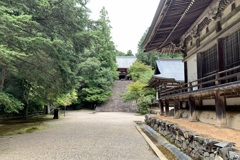 20200827右京区05