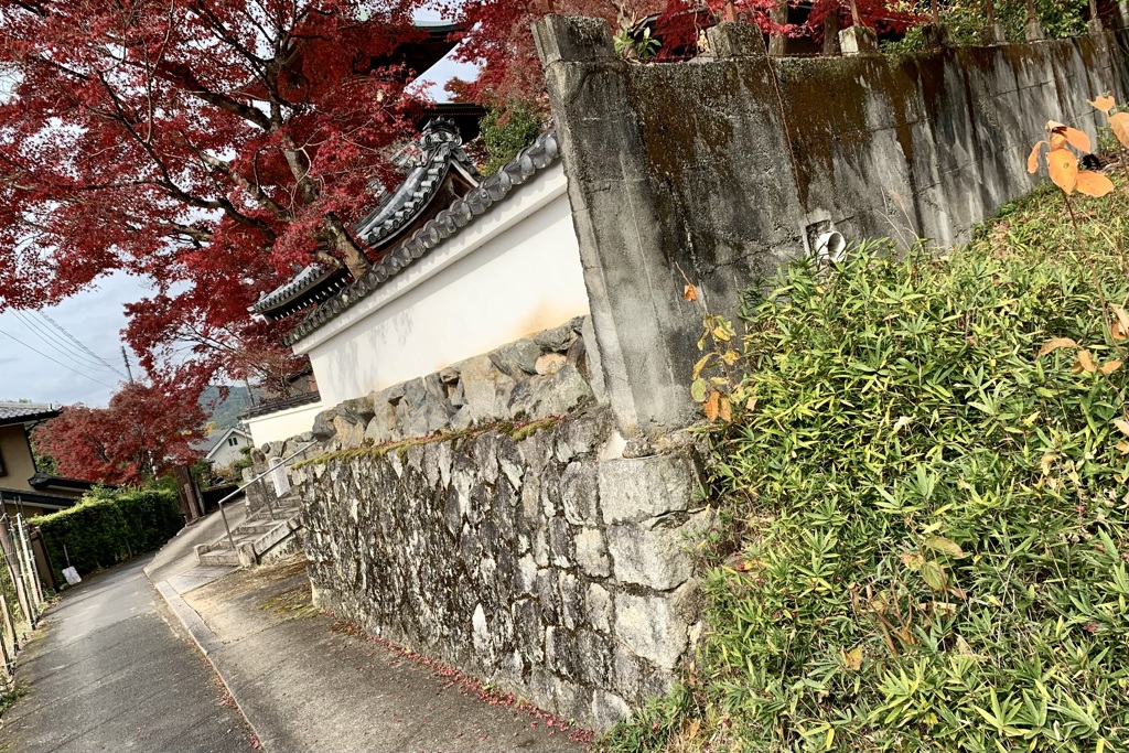 20191124左京区19