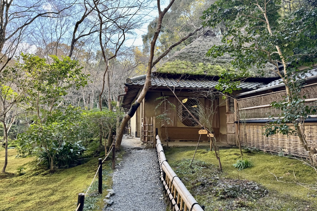 20240210右京区14