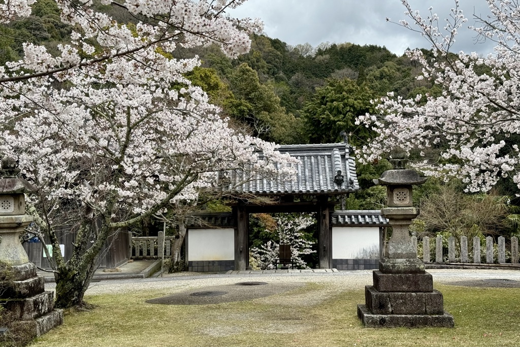 20240404木津川市14