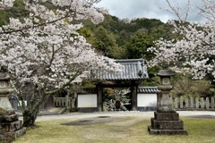 20240404木津川市14