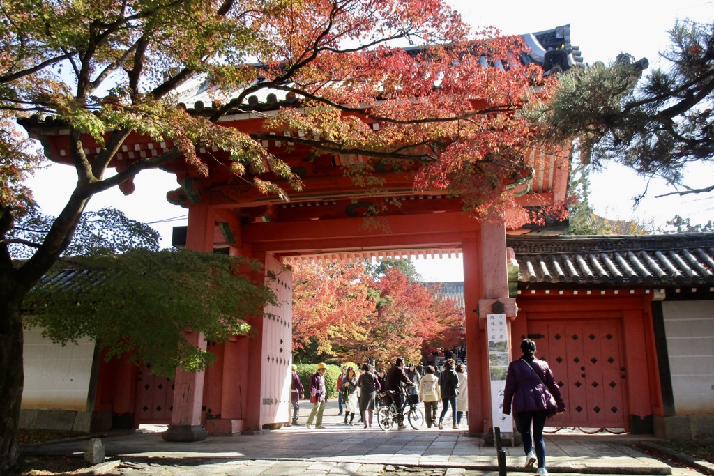 20181125左京区15
