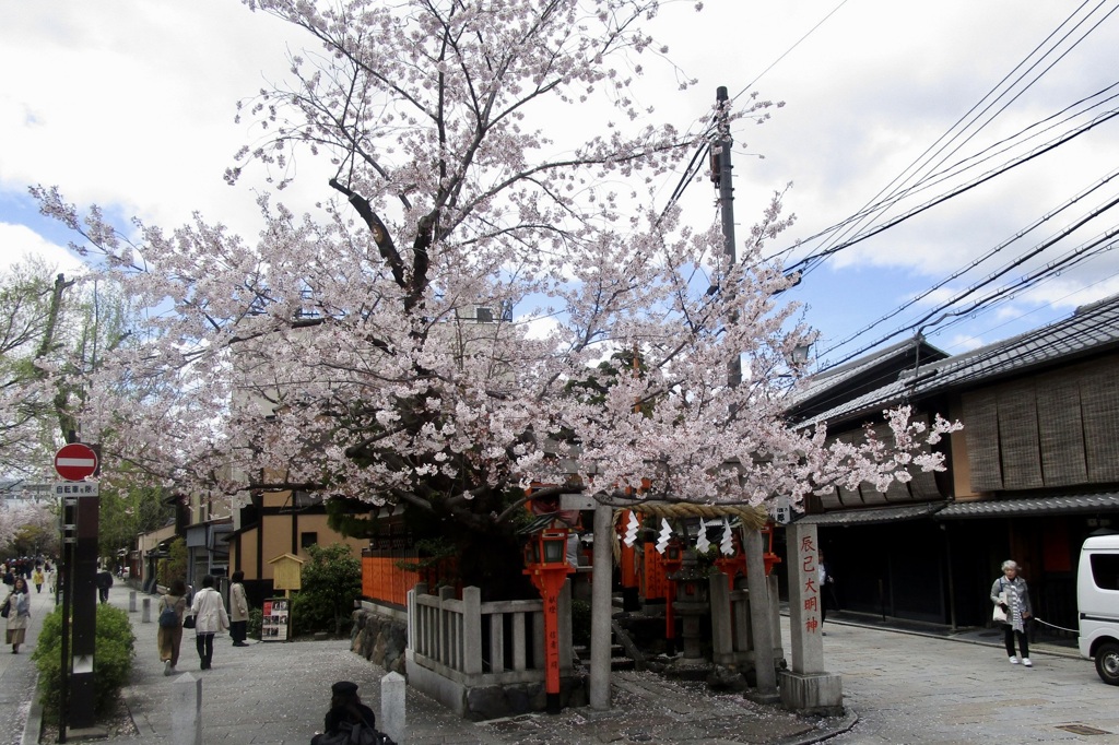 20190411東山区03