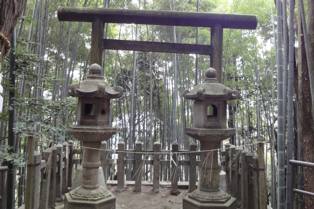 20100208八幡市11