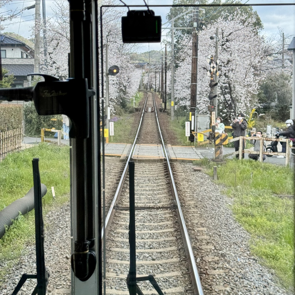 20250404右京区01