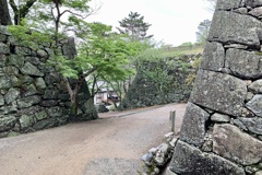 20190425松坂市04