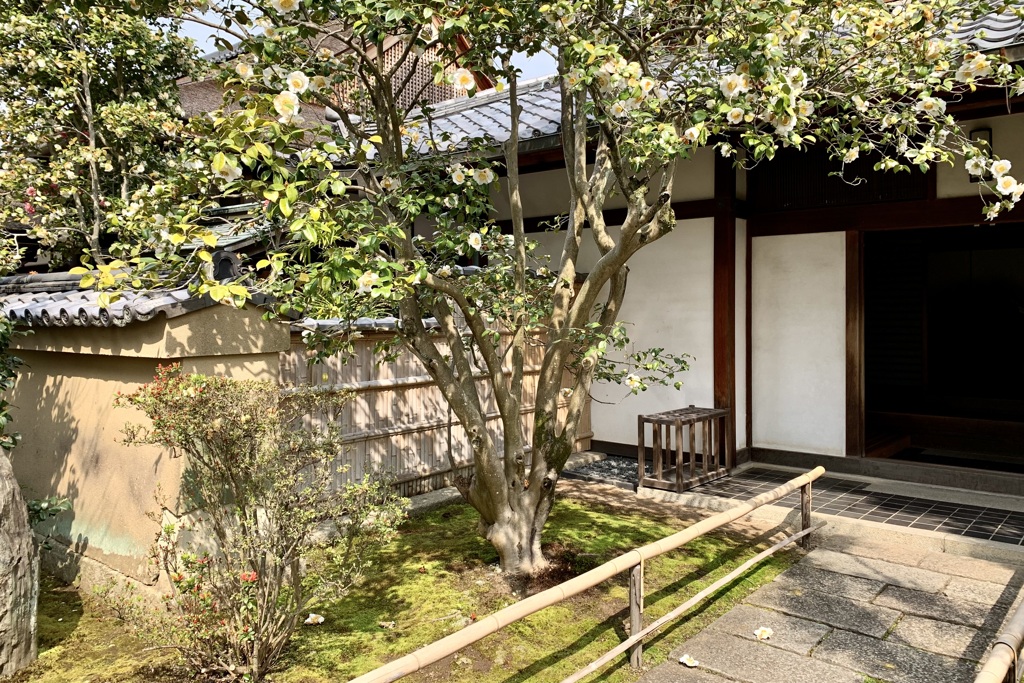 20200403京都市北区18