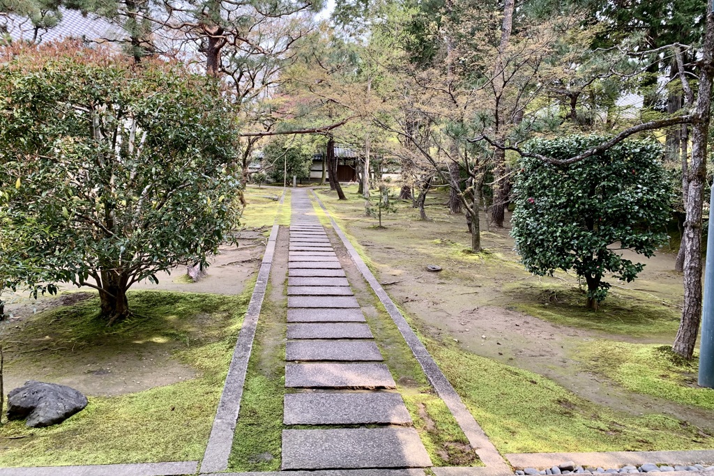 20200403京都市北区13