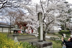 20190331左京区02