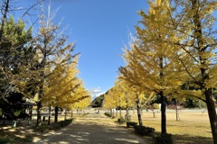20241204松山市c09