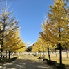 20241204松山市c09