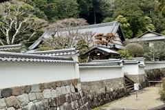 20240404木津川市23