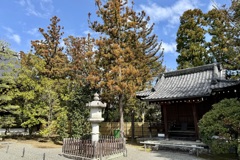 20240307右京区31