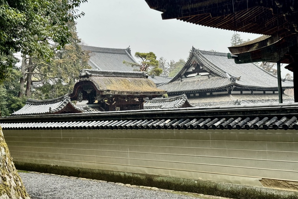 20240317東山区16