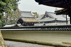 20240317東山区16