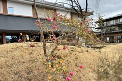 20240309東山区03