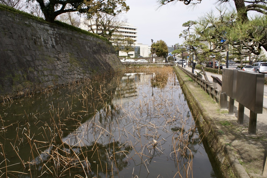 20080316鹿児島市18