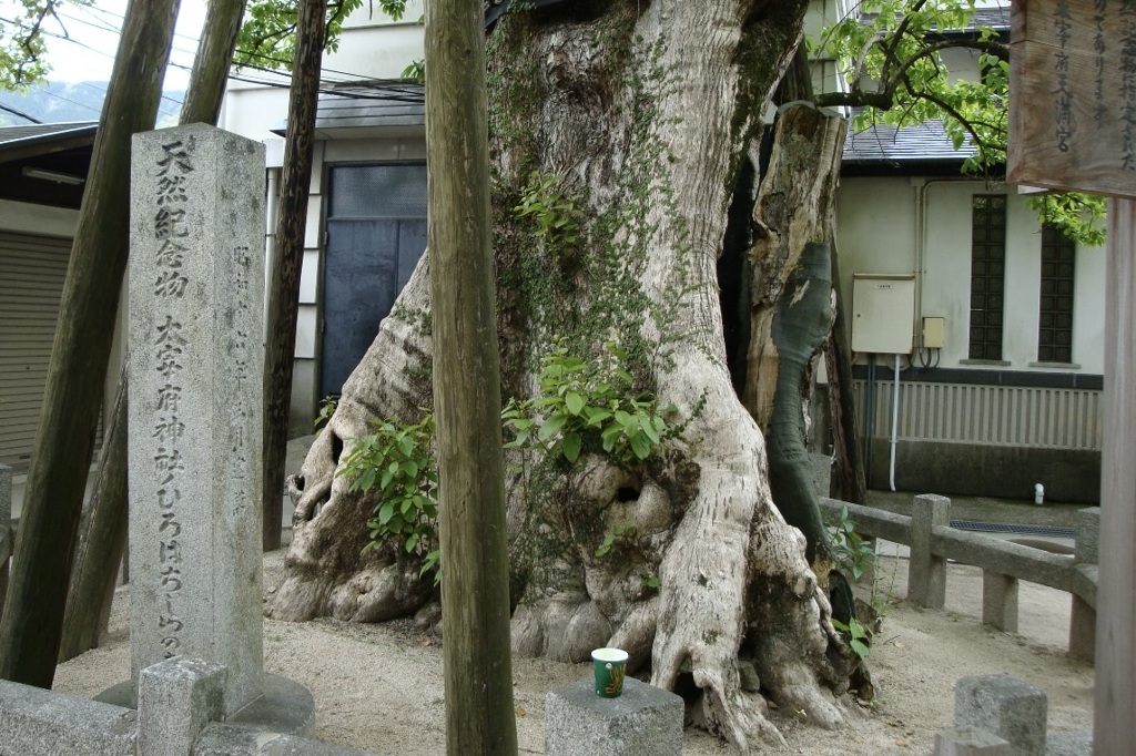 20090503太宰府市06