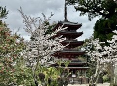 20240404木津川市22