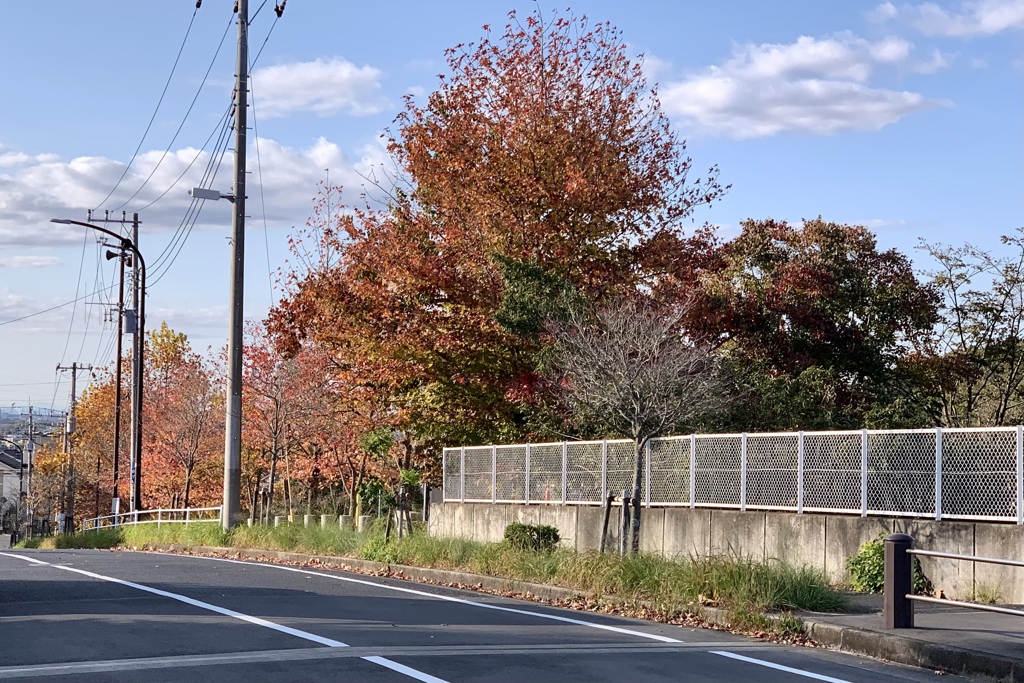 20201111市原市01