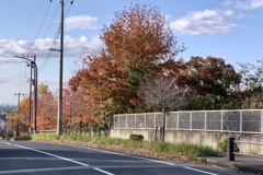 20201111市原市01