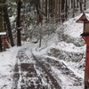20110317大津市03