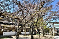 20210421高山市06