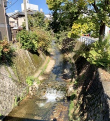 20191110上京区13