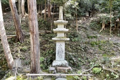 20230306左京区04