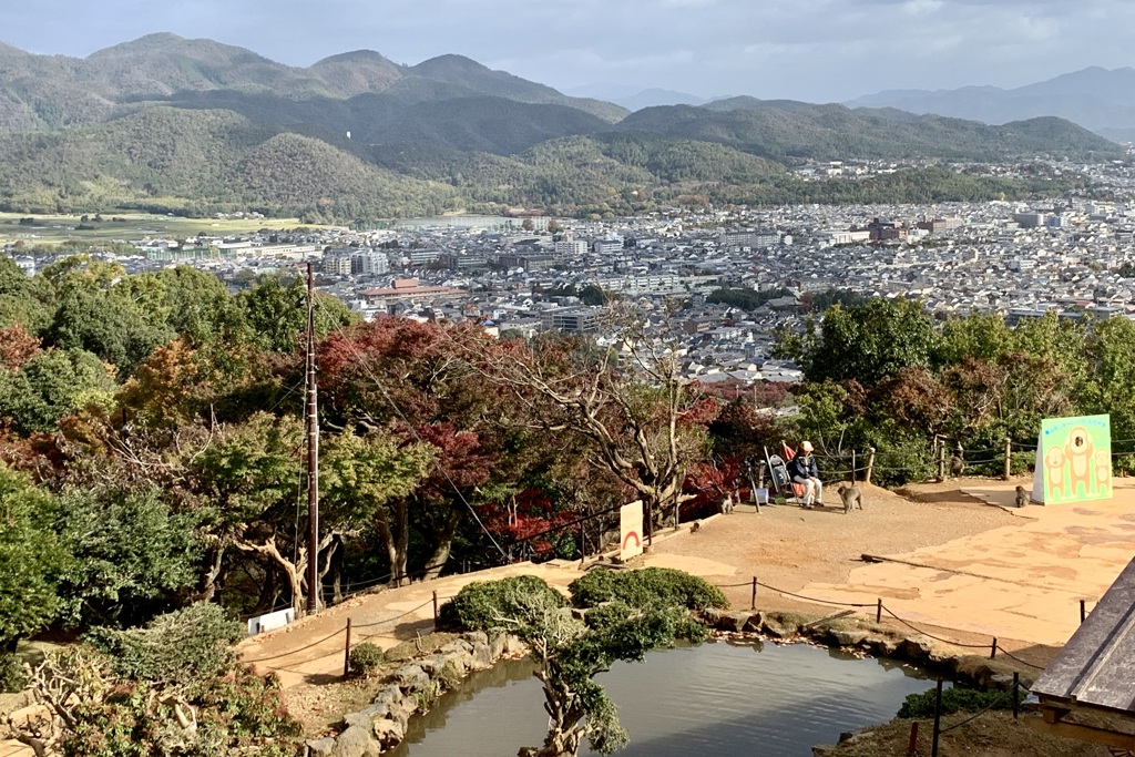 20191119西京区07