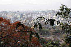 20181130東山区14