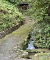 20241023左京区27