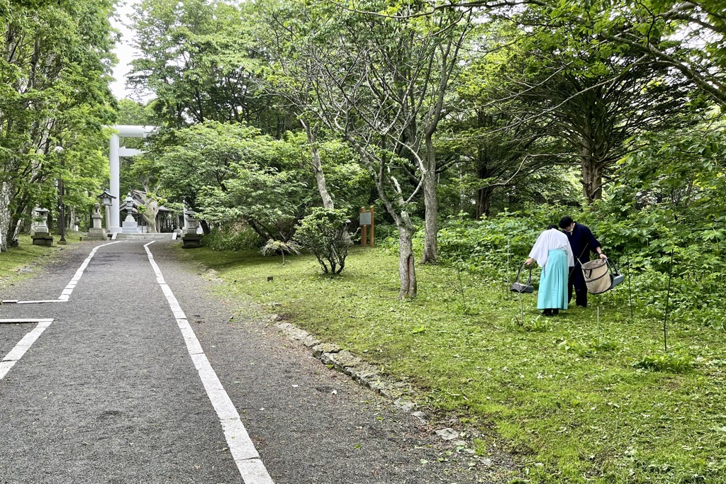 20230615根室市40