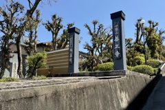 20240410左京区21