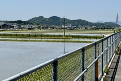20240510湖南市12